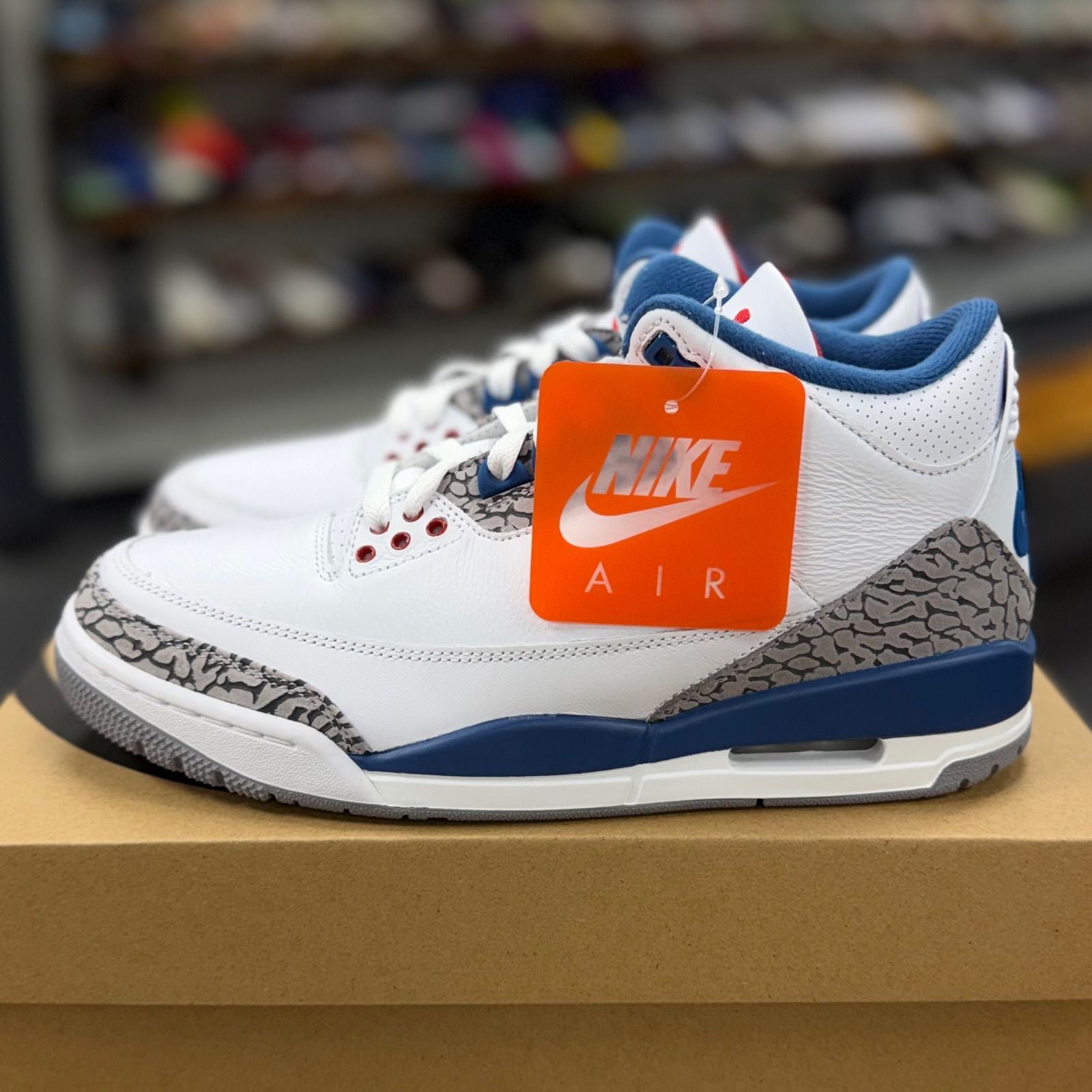 BRAND NEW STEAL - Jordan 3 Retro True Blue (2026)