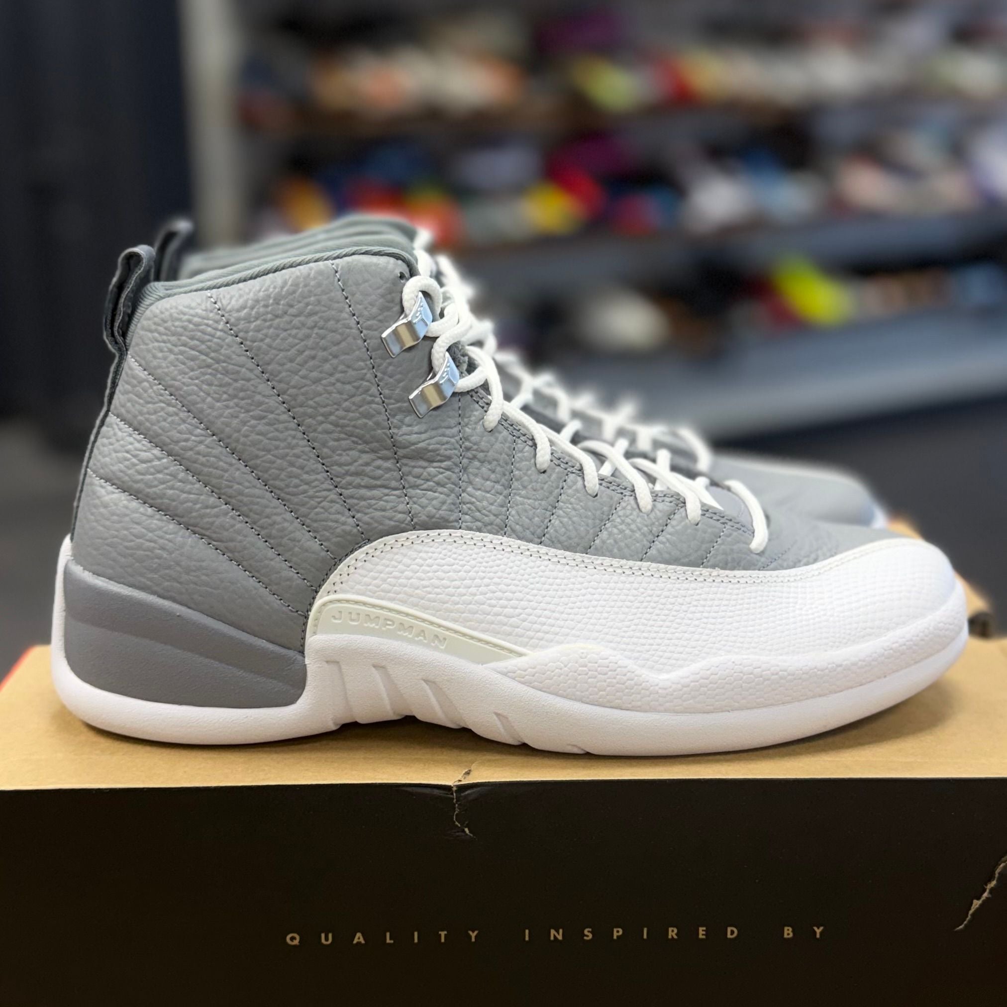 BRAND NEW STEAL - Jordan 12 Retro Stealth