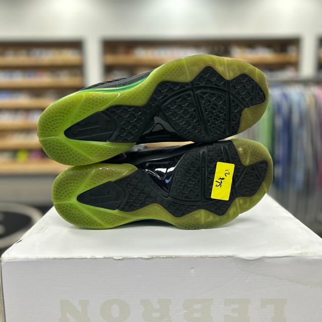 Nike LeBron 9 Dunkman - Preowned