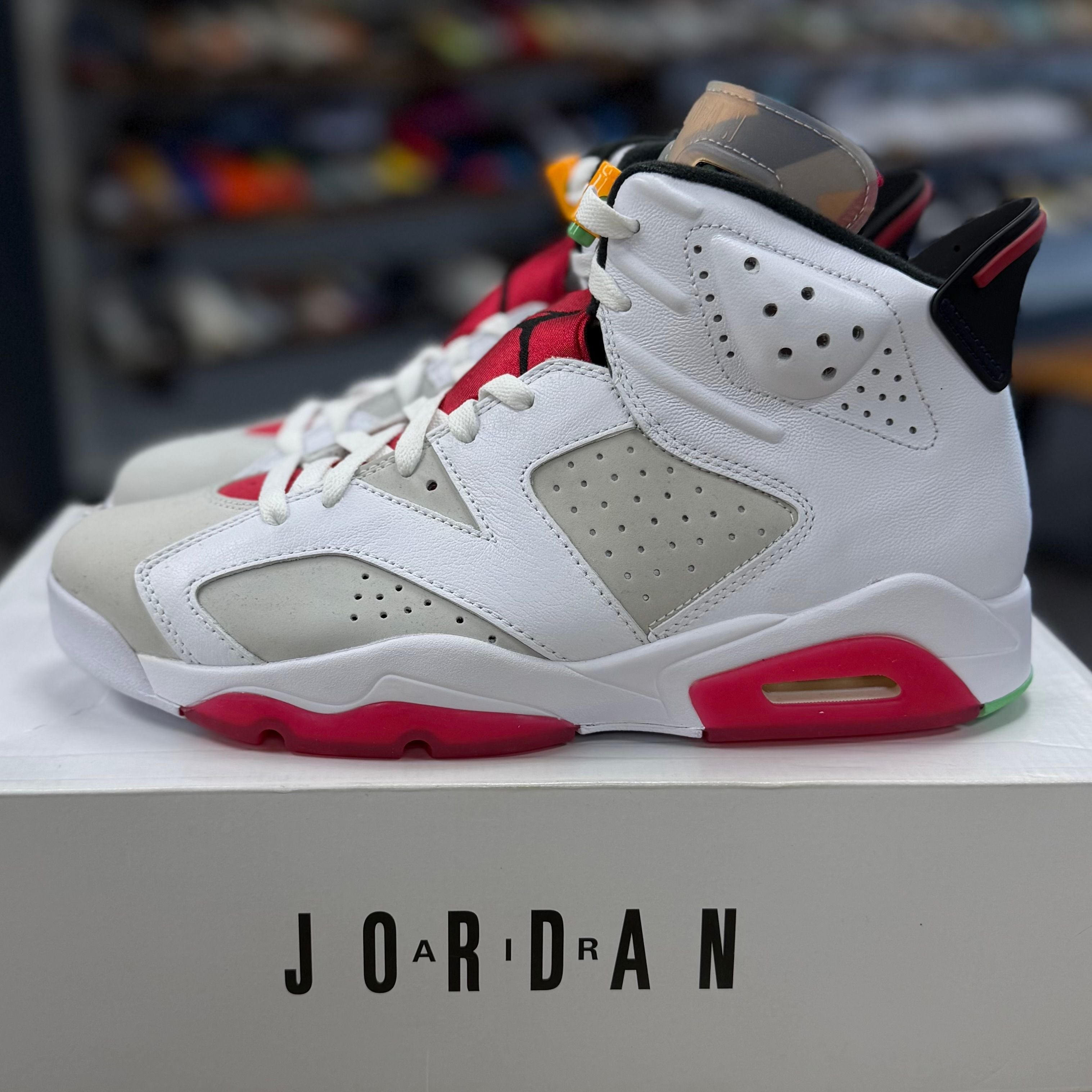 BRAND NEW STEAL - Jordan 6 Retro Hare