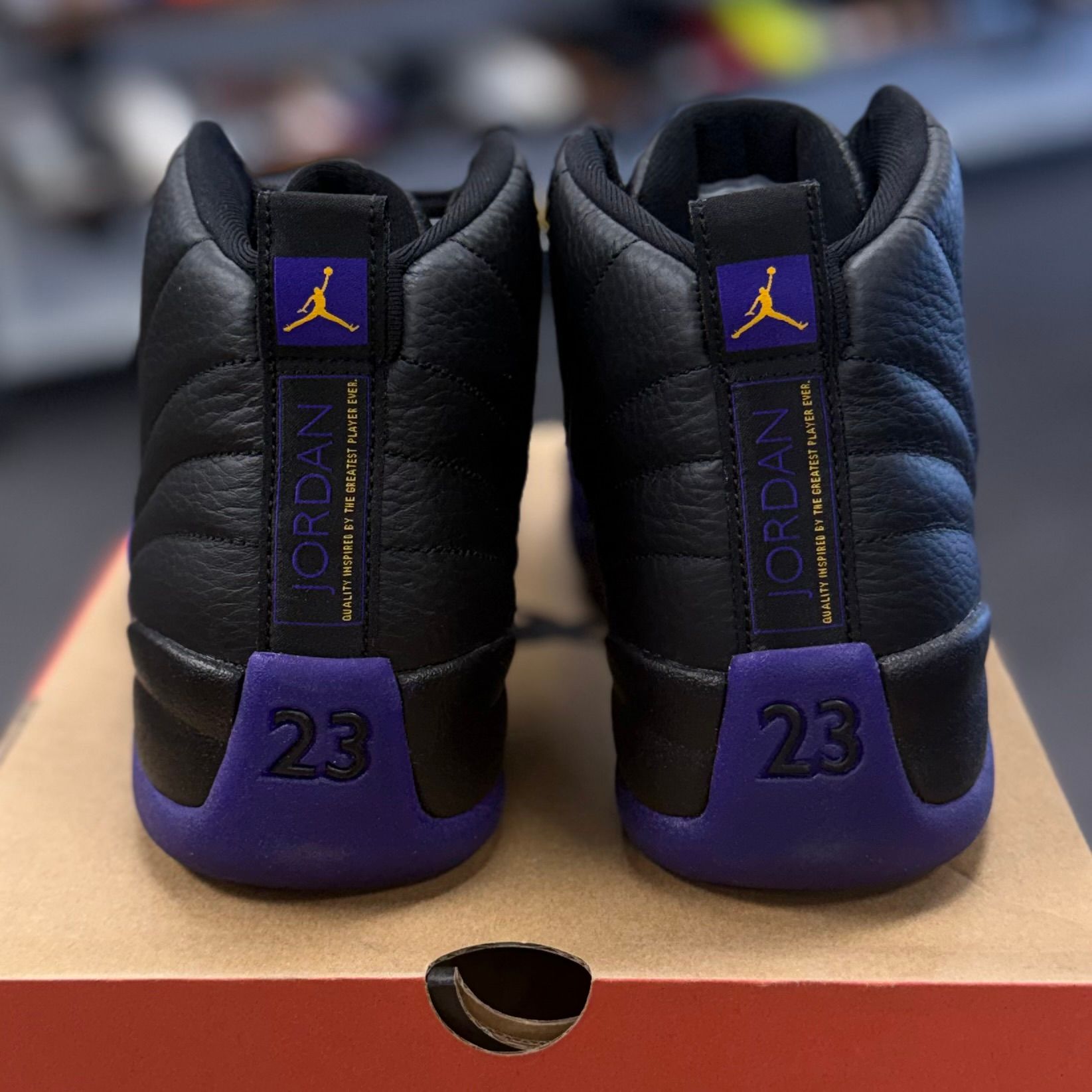 BRAND NEW STEAL - Jordan 12 Retro Field Purple