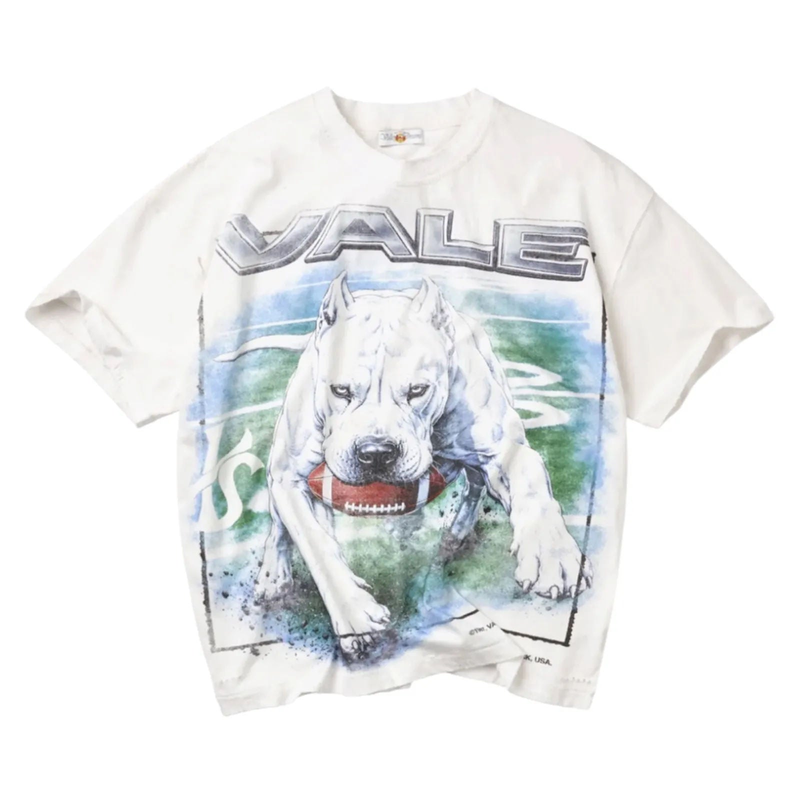 Vale Forever Cane Tee (White)