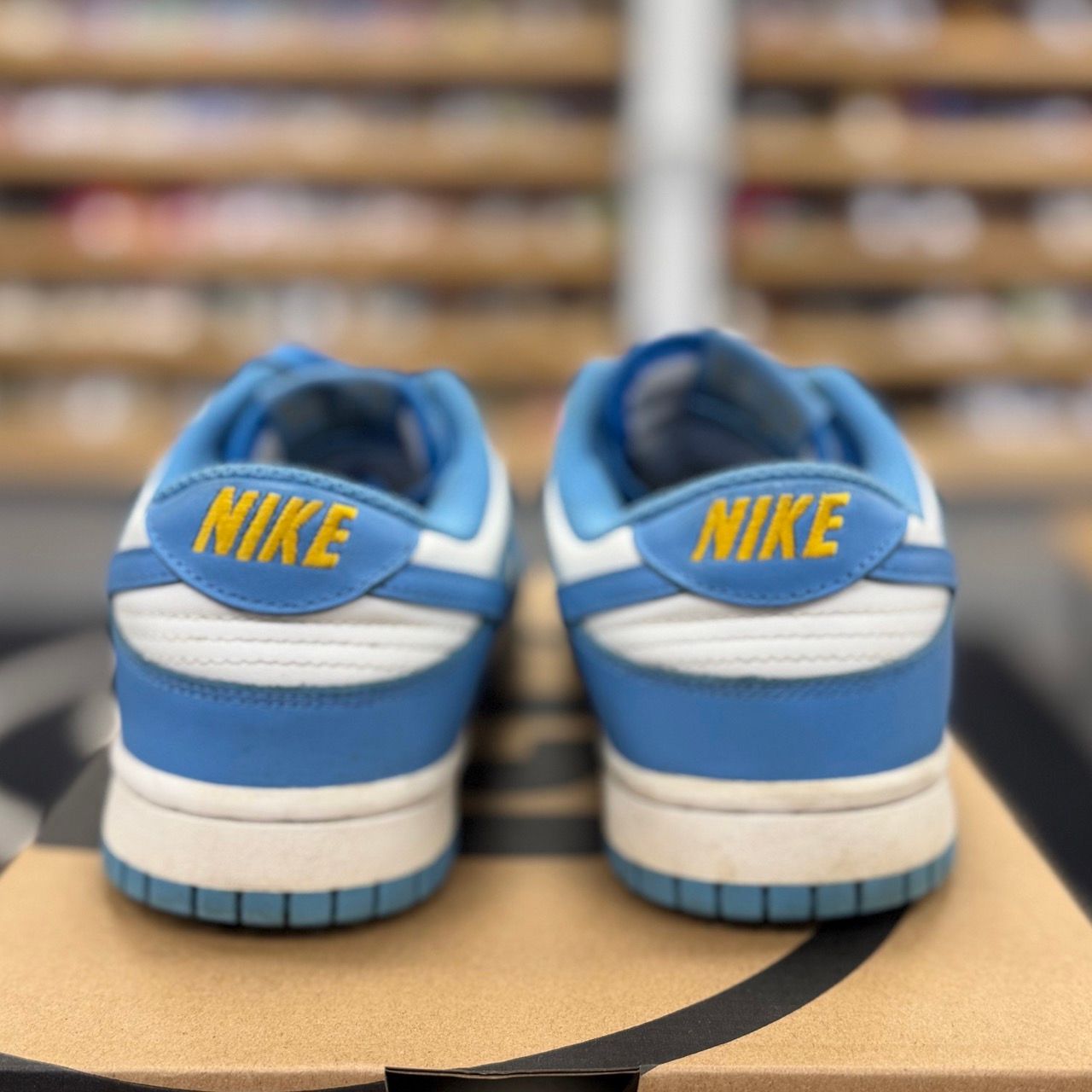 Nike Dunk Low Coast (Women's) - Preowned