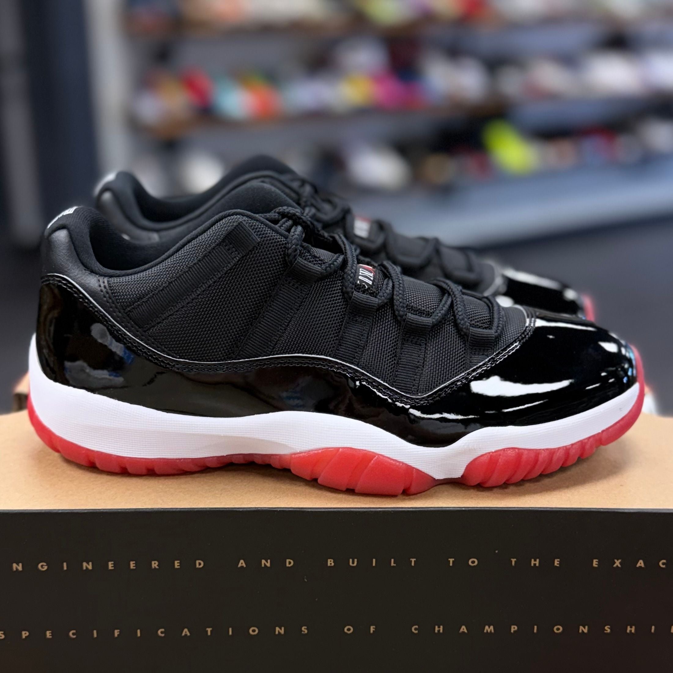 BRAND NEW STEAL - Jordan 11 Retro Low Bred (2025)