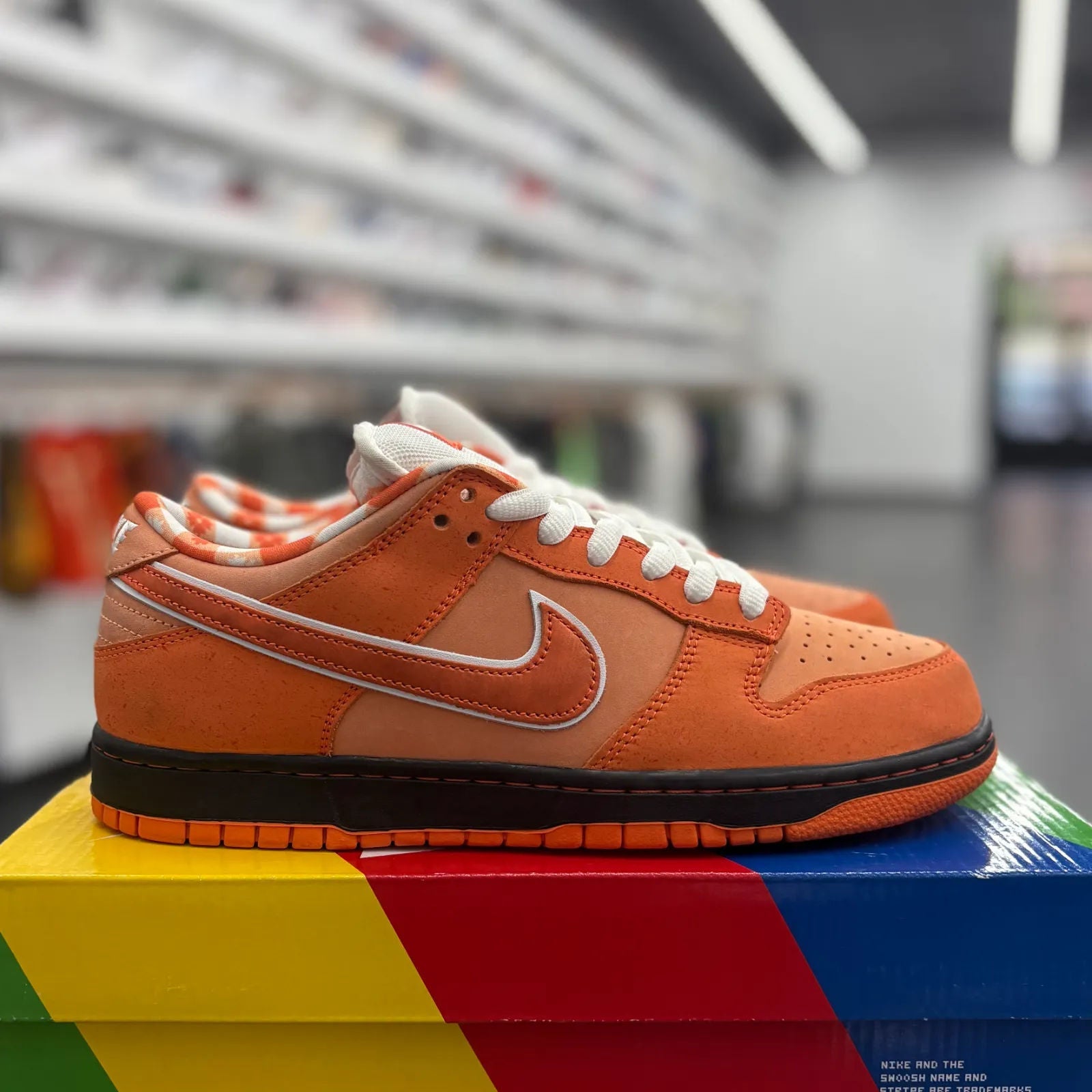Nike SB Dunk Low Concepts Orange Lobster - Preowned