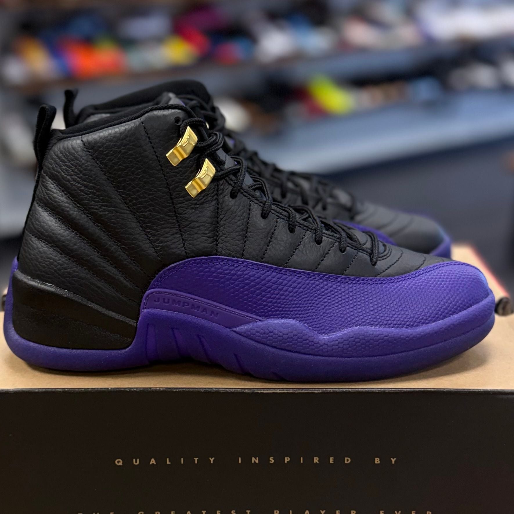BRAND NEW STEAL - Jordan 12 Retro Field Purple