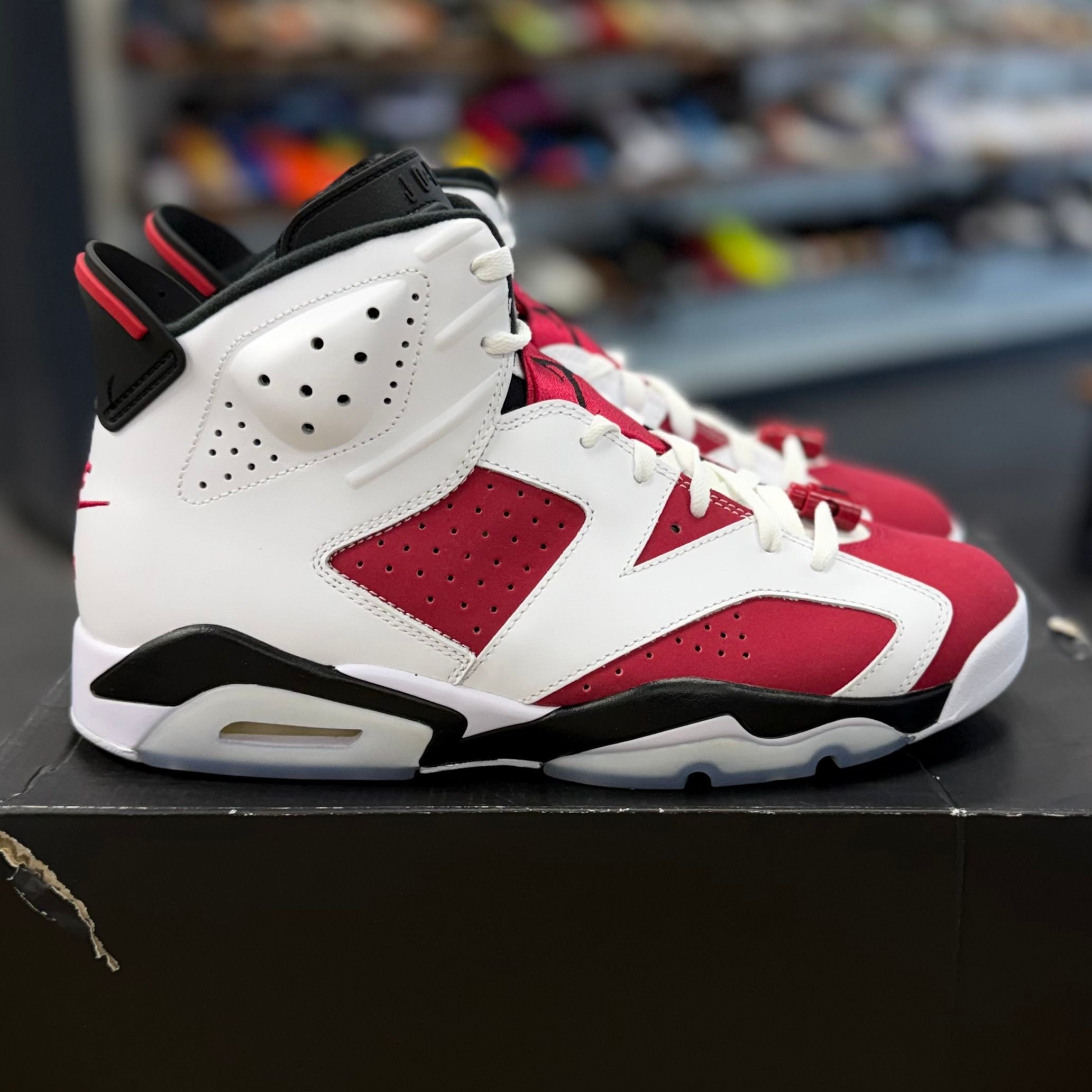 BRAND NEW STEAL - Jordan 6 Retro Carmine (2021)