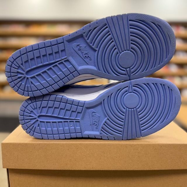 Nike Dunk Low Polar Blue - Preowned