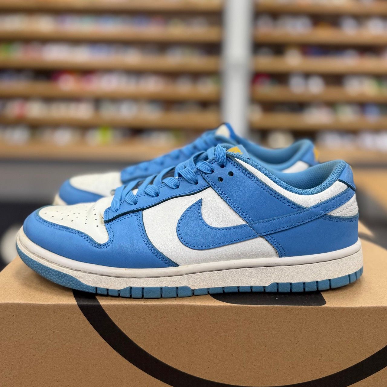 Nike Dunk Low Coast (Women's) - Preowned