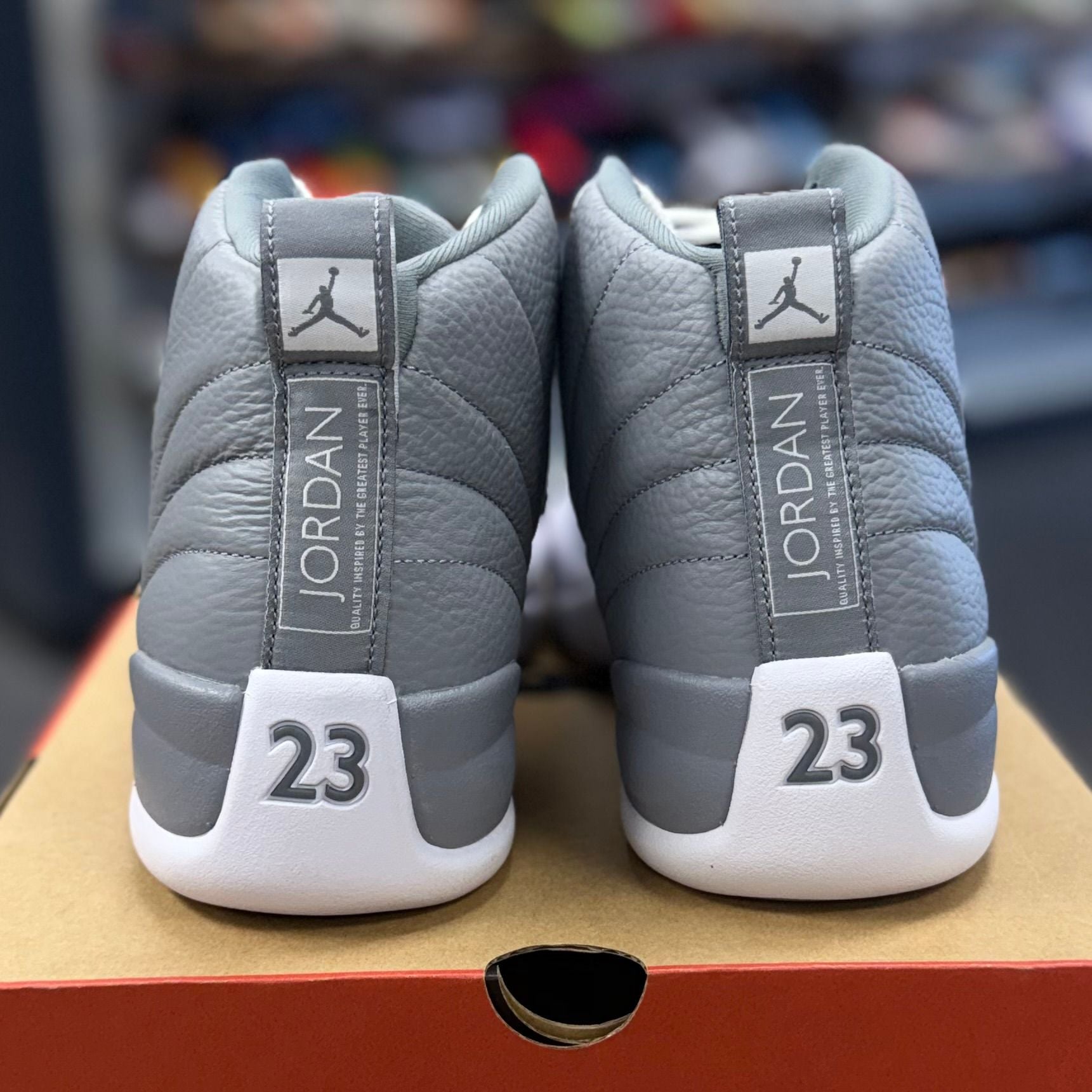 BRAND NEW STEAL - Jordan 12 Retro Stealth