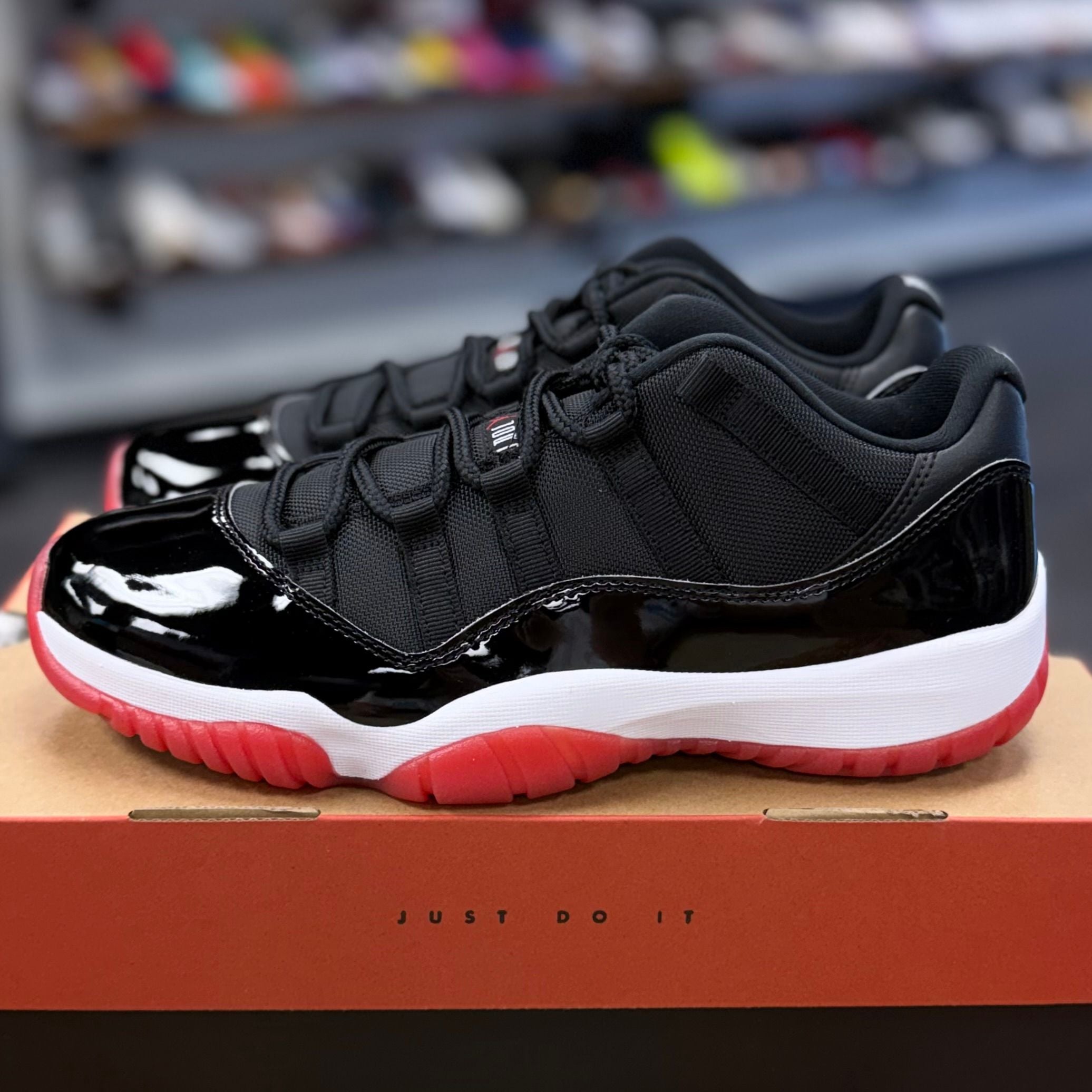 BRAND NEW STEAL - Jordan 11 Retro Low Bred (2025)