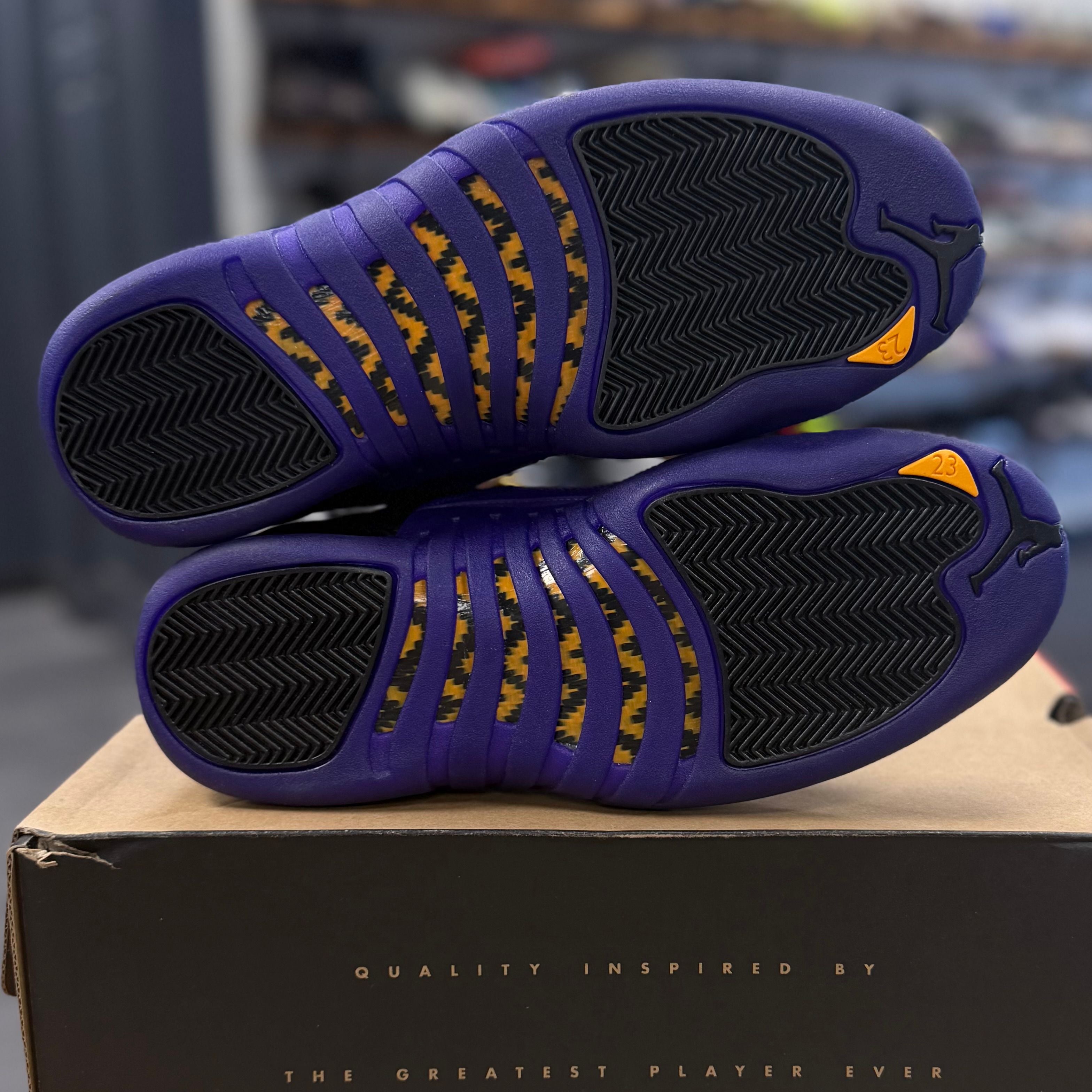 BRAND NEW STEAL - Jordan 12 Retro Field Purple