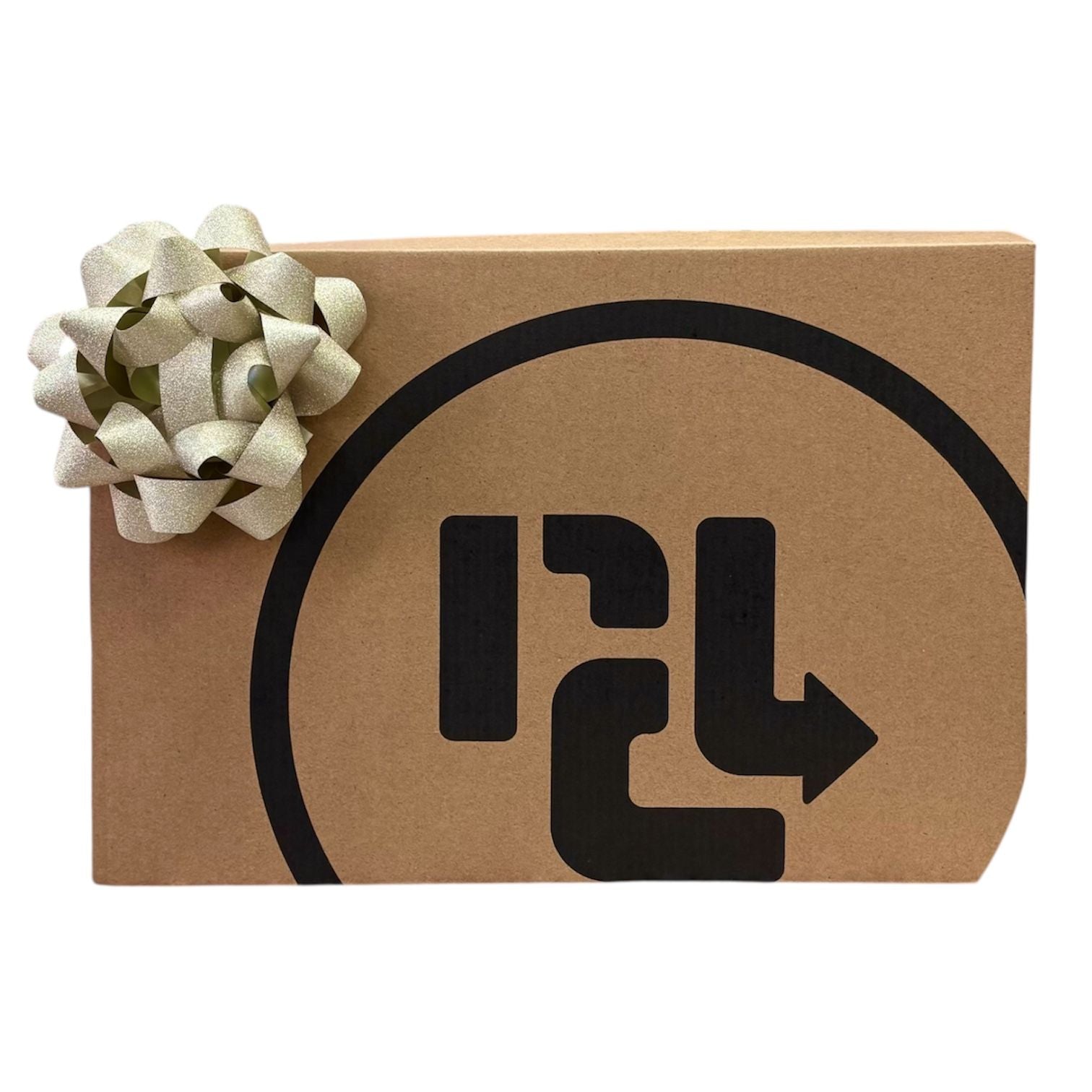 MYSTERY BOX ($300 VALUE)