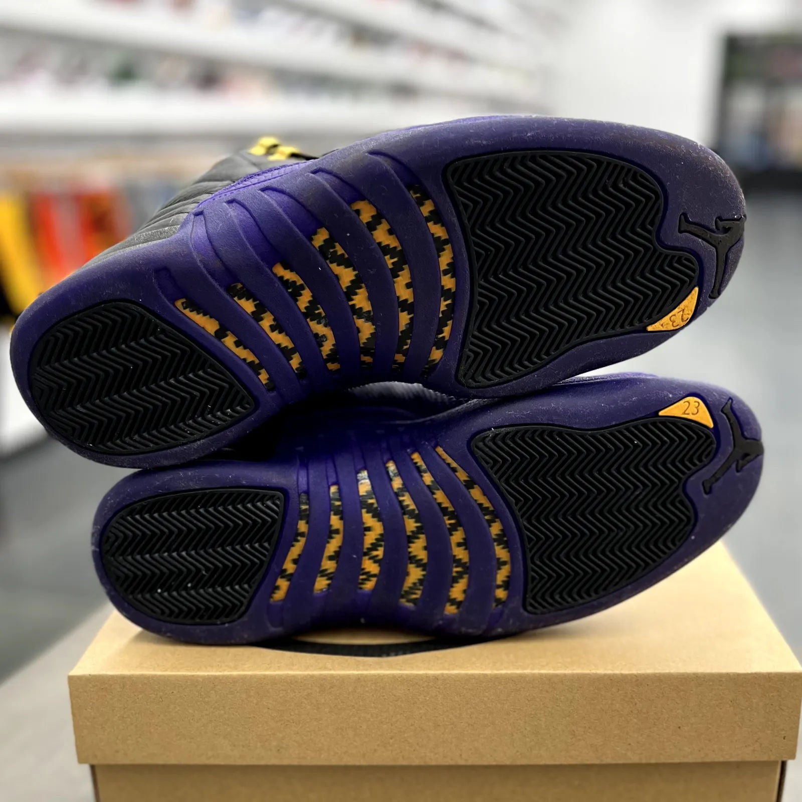 Jordan 12 Retro Field Purple - Preowned