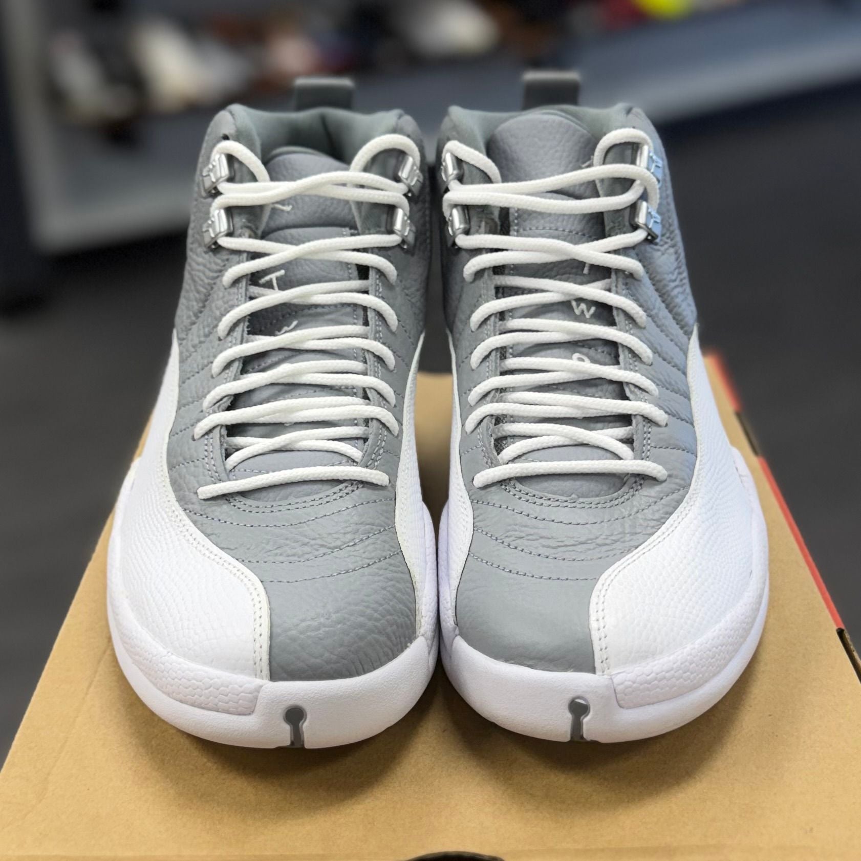 BRAND NEW STEAL - Jordan 12 Retro Stealth