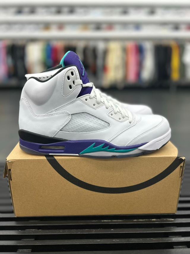 BRAND NEW STEAL - Jordan 5 Retro Grape (2013)