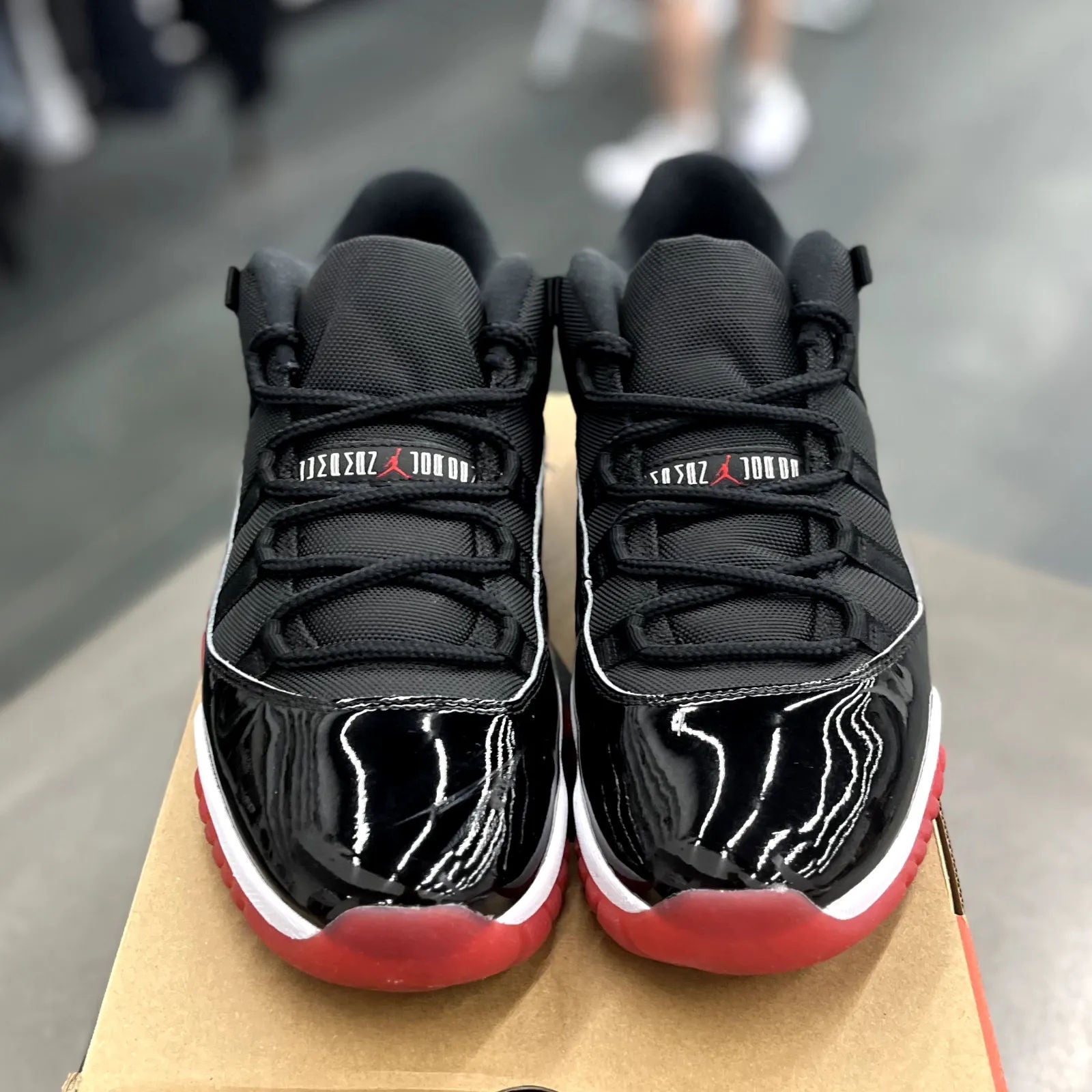Jordan 11 Retro Low Bred (2025) - Preowned