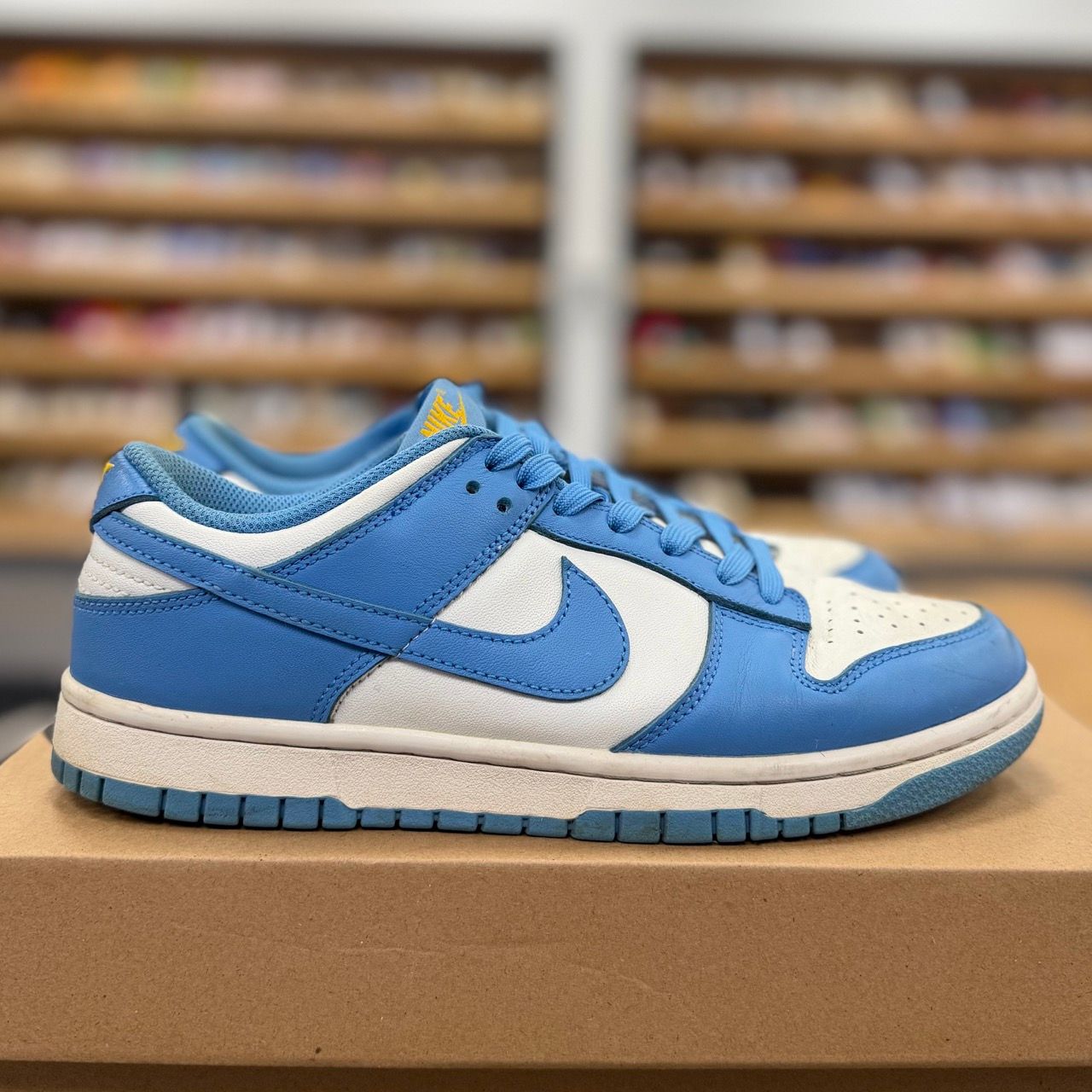 Nike Dunk Low Coast (Women's) - Preowned
