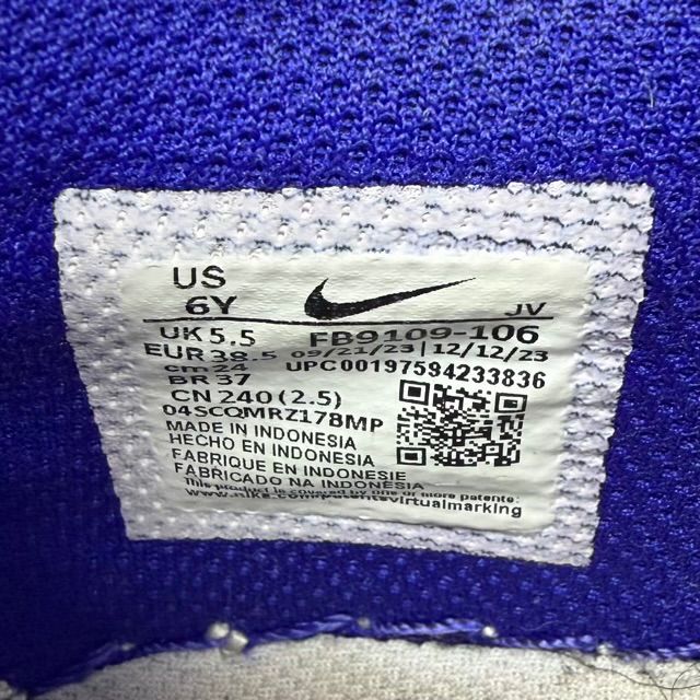 Nike Dunk Low Concord (GS) - Preowned