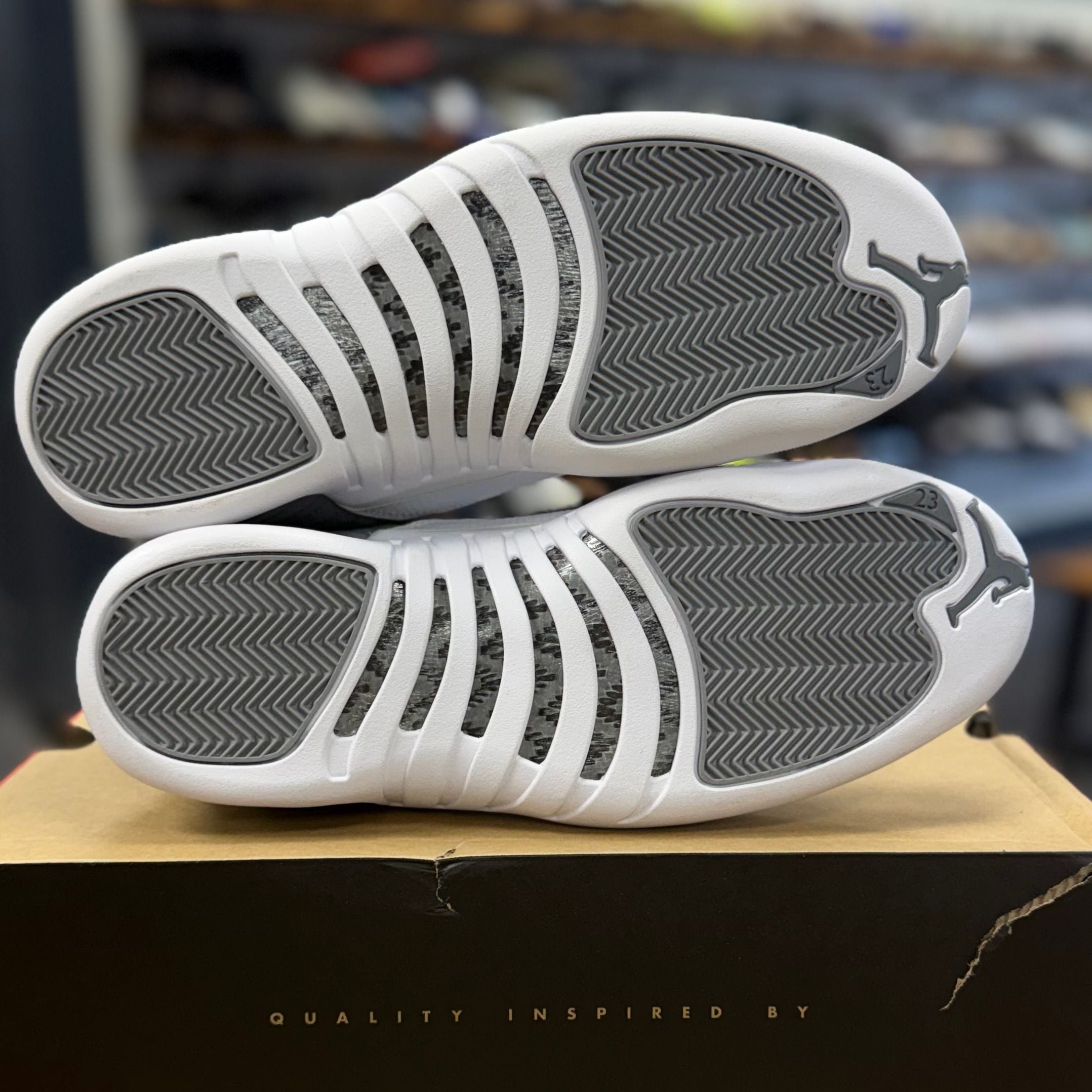 BRAND NEW STEAL - Jordan 12 Retro Stealth